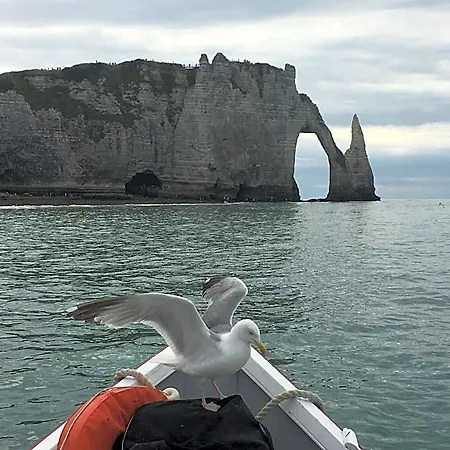 D'hôte Maurice Couette-café Étretat